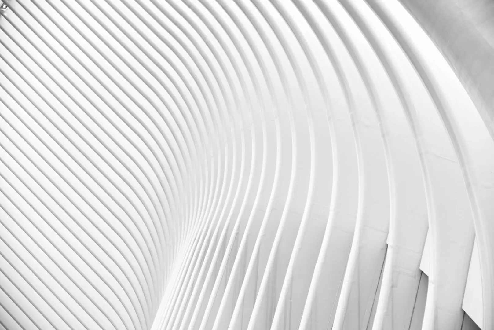 A white curved wall with lines going all the way up.